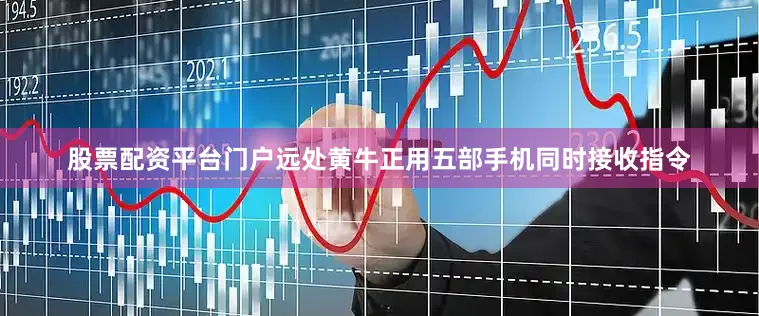 股票配资平台门户远处黄牛正用五部手机同时接收指令