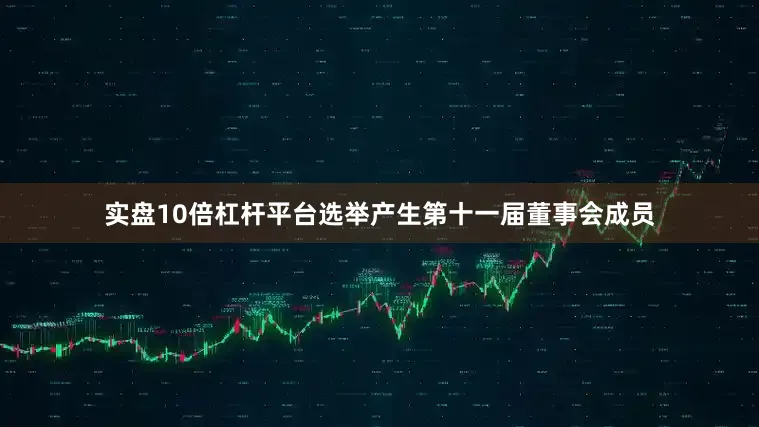 实盘10倍杠杆平台选举产生第十一届董事会成员