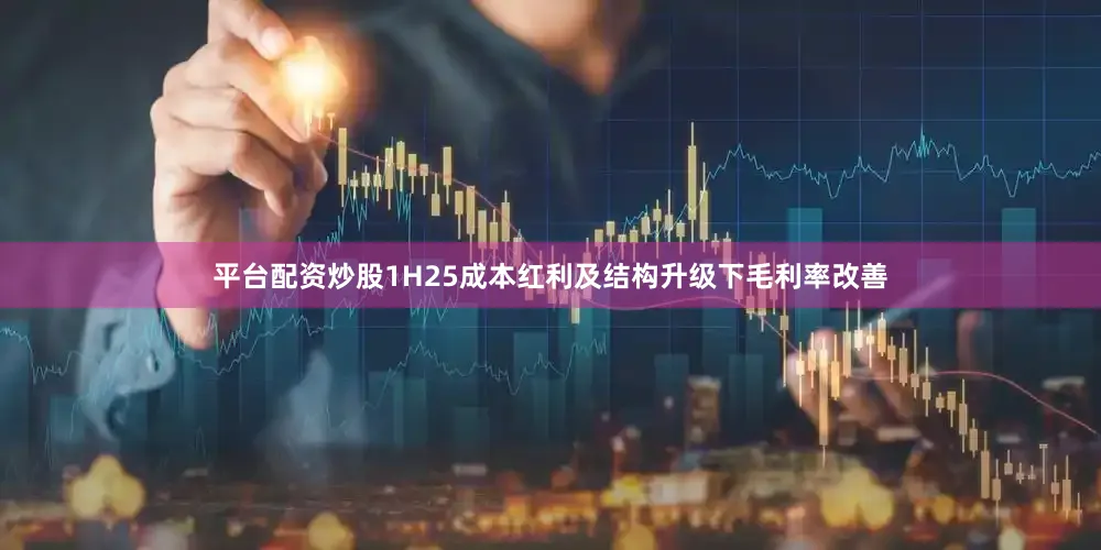 平台配资炒股　　1H25成本红利及结构升级下毛利率改善