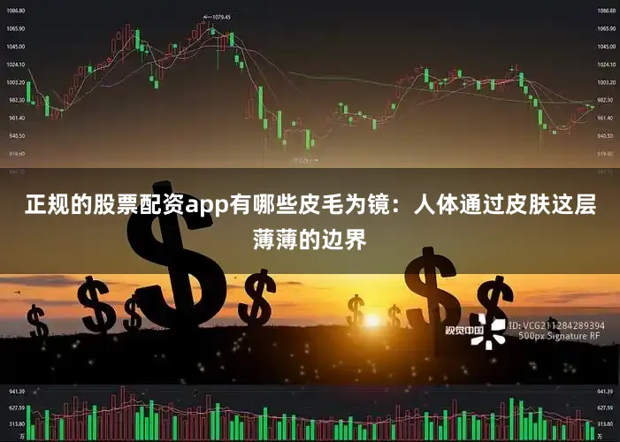 正规的股票配资app有哪些皮毛为镜：人体通过皮肤这层薄薄的边界